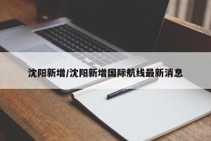 沈阳新增/沈阳新增国际航线最新消息