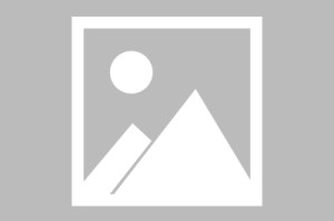 石家庄放开(石家庄放开鞭炮最新消息)